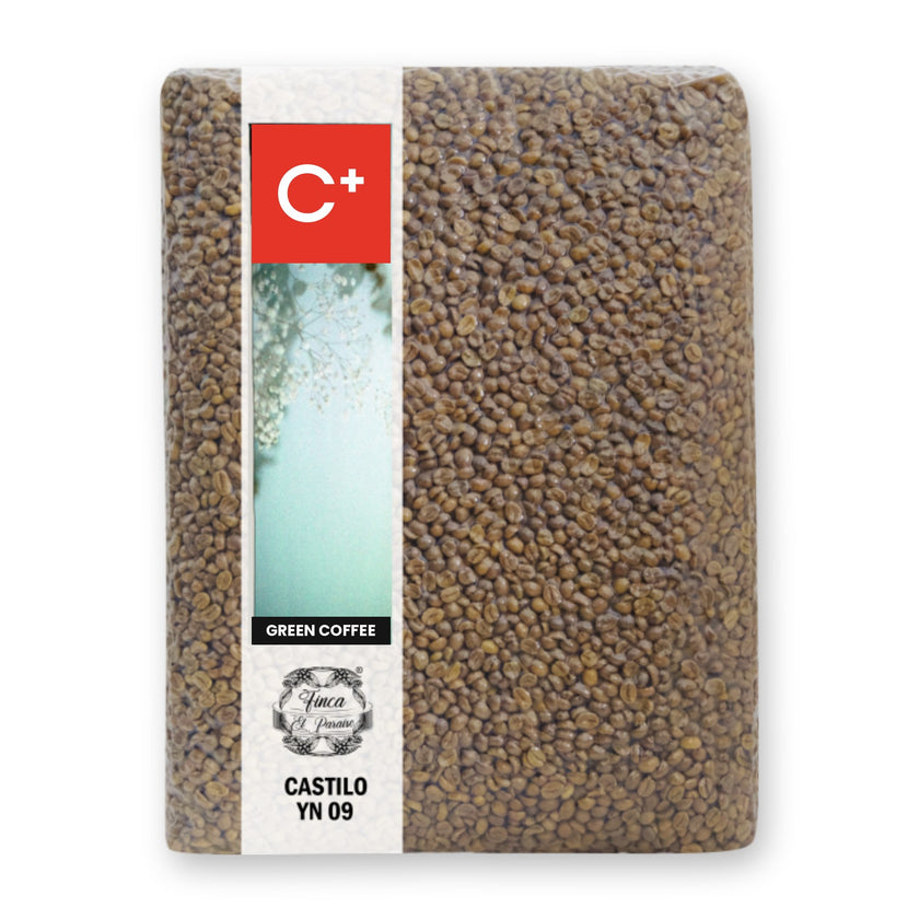 Castillo YN-09 Peach – El Paraíso Bioprocess – green coffee, C+ Trading